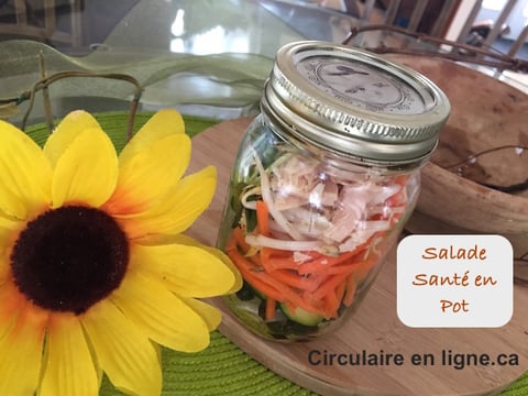 Salade Santé en Pot Masson