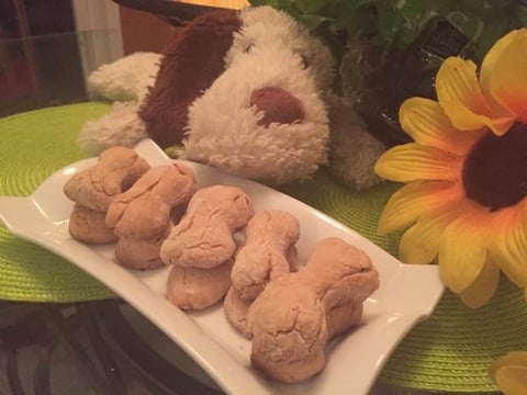 Les Biscuits à Floppy