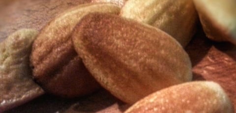 Madeleines