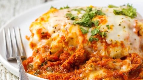 Meilleure Lasagne au Monde