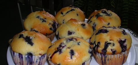 Muffins aux Bleuets
