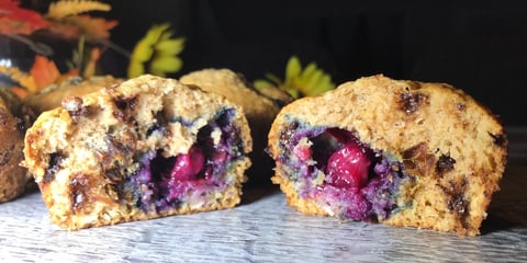 Muffins Bleuets, Dattes et Pépites de Chocolat