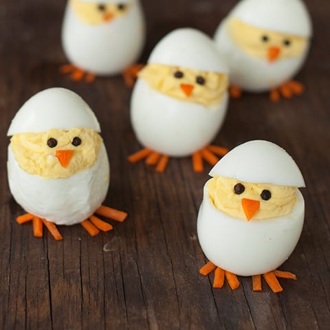 OEUFS POUSSINS