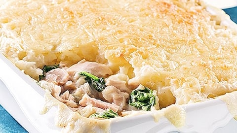 Pâté Gratiné au Thon à la Florentine