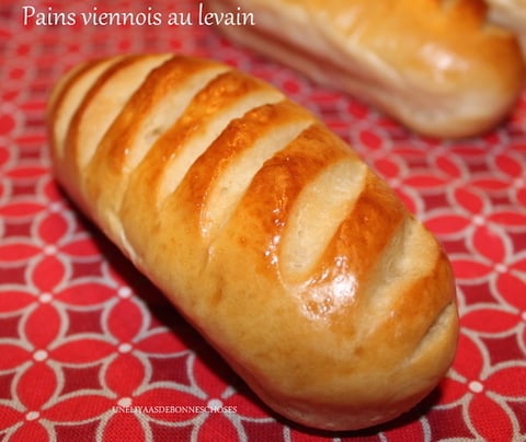 Pains Viennois au Levain