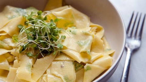 Pasta Shamrock Vitrail