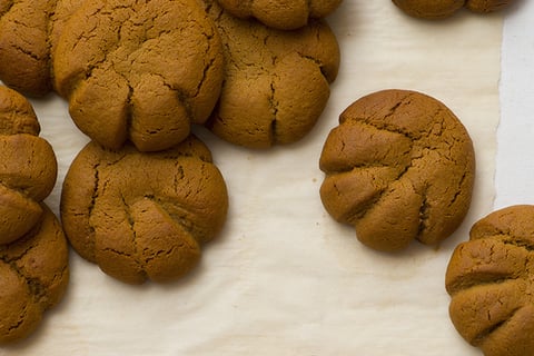 PATTES D’OURS MAISON