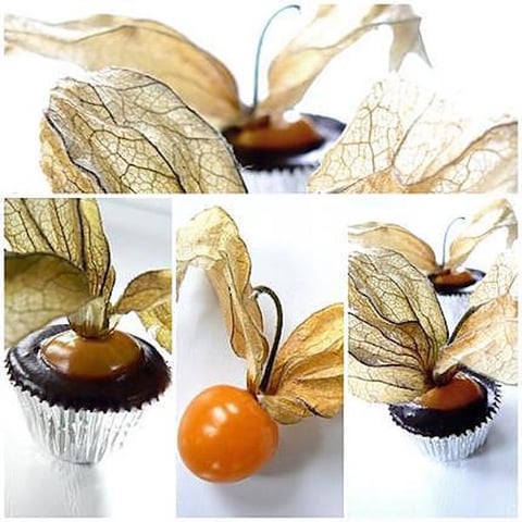 PETITES BOUCHEES D'AMOUR EN CAGE AU CHOCOLAT
