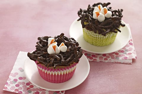 Petits Nids d'oiseaux à Cheesecake