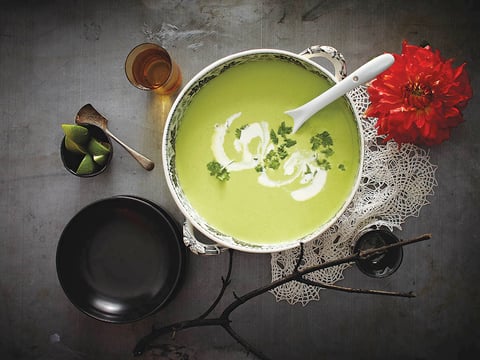 Potage à la Coriandre
