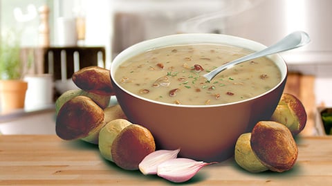 POTAGE AUX CHAMPIGNONS DES BOIS