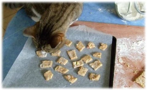 Biscuits pour Chaton