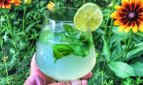 Mojito à la Sambuca