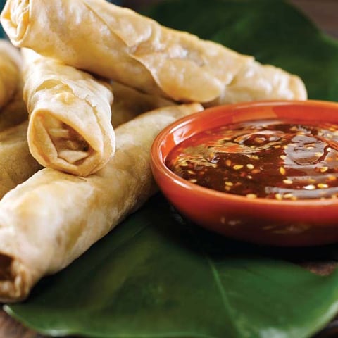 Rouleaux de Printemps avec Trempette Hoisin