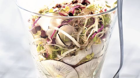 Salade de Radis Noir et Graines Germées