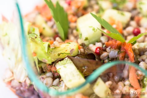 Salade D’été au Sarrasin Concombre et Saumon Fumé