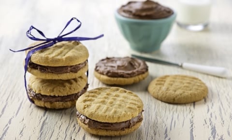 Sandwiches aux Biscuits au Beurre D’arachide avec Ganache au Yogourt Grec