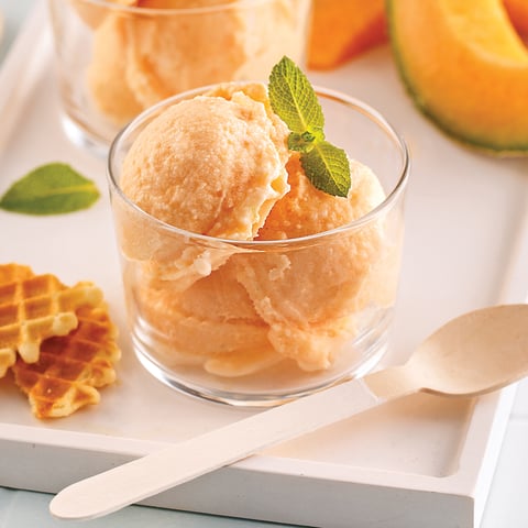 Sorbet au Cantaloup et Lait de Coco