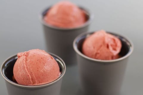 Sorbet Plein Fruit