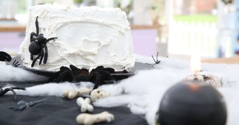 Spider Cake