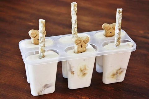 Sucettes Glacées Banane et Beurre D'arachide pour Chiens