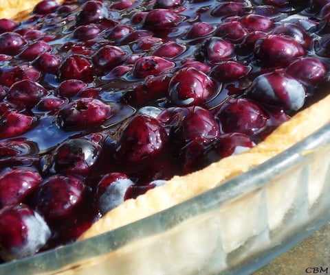 Tarte aux Bleuets Frais