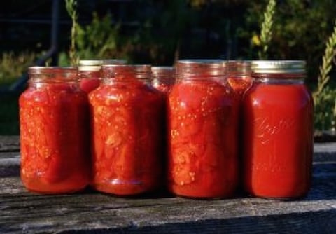 TOMATES EN CONSERVE