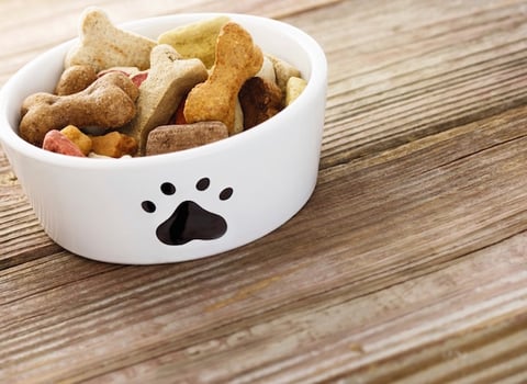 Un Bon Petit Plat pour Chiens et Chats