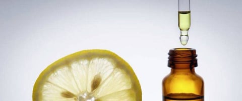 Un Shampoing Anti-Puce fait Maison Naturel pour votre Chien