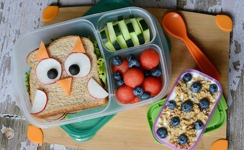 Une Boîte à Lunch Bento Hibou