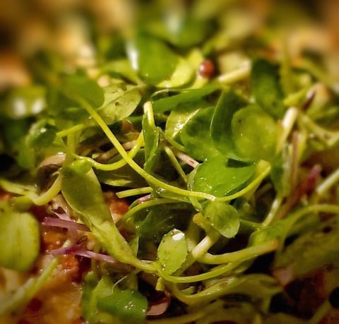 Vinaigrette au Citron & Basilic