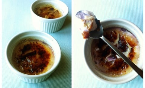 Yogourt Brûlé aux Bleuets