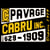 Pavage Cabru