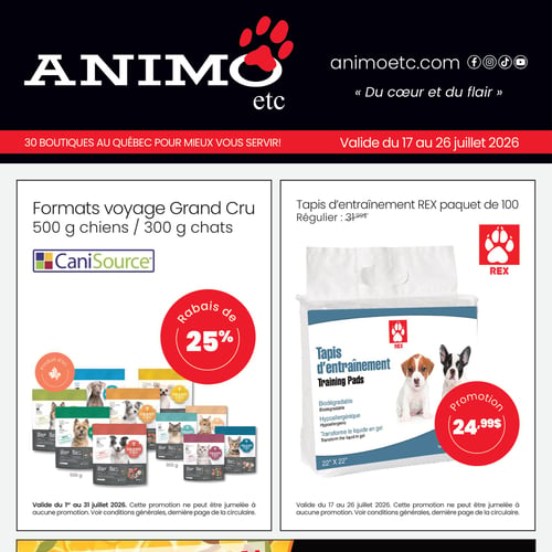  Animo etc