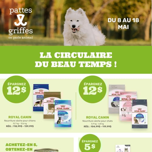  Pattes Et Griffes