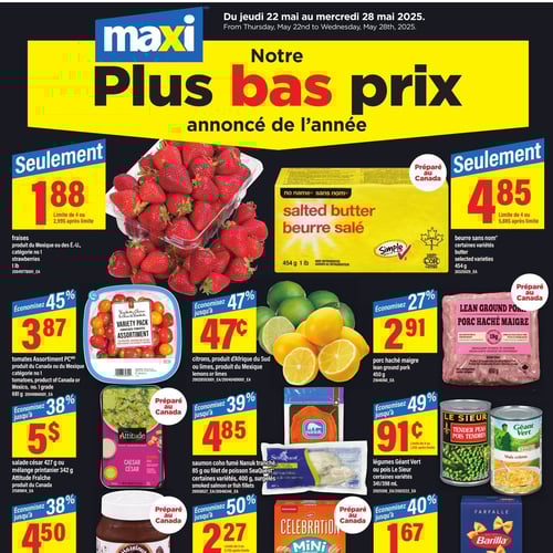  Maxi