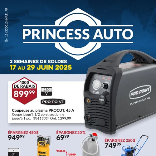  Princess Auto