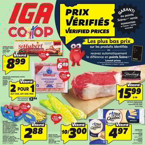  IGA