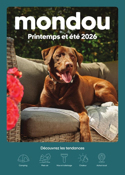 Circulaire Mondou - Page 1. La page de couverture affiche le logo "mondou" en blanc et le titre "Printemps et été 2026". Au centre, un chien Labrador chocolat est allongé sur un coussin de patio gris, la langue pendante, dans un décor extérieur verdoyant avec des fleurs rouges floues à gauche. En bas de page, le texte "Découvrez les tendances" est suivi de cinq icônes avec leurs légendes : une tente pour "Camping", des arbres pour "Plein air", un peigne pour "Mue et toilettage", un soleil pour "Chaleur" et une épingle de localisation avec un sac de magasinage pour "Achat local".