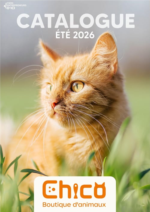 Circulaire Chico Boutique d'Animaux - Page 1. La page couverture présente un gros plan d'un chat roux aux yeux verts, assis dans l'herbe verte et regardant vers la gauche. En haut à gauche, le texte "FIERS ENTREPRENEURS D'ICI" est affiché. Au centre de l'image, en gros caractères blancs, on lit "CATALOGUE ÉTÉ 2026". En bas de page, le logo orange de Chico Boutique d'animaux est affiché sur un fond blanc.