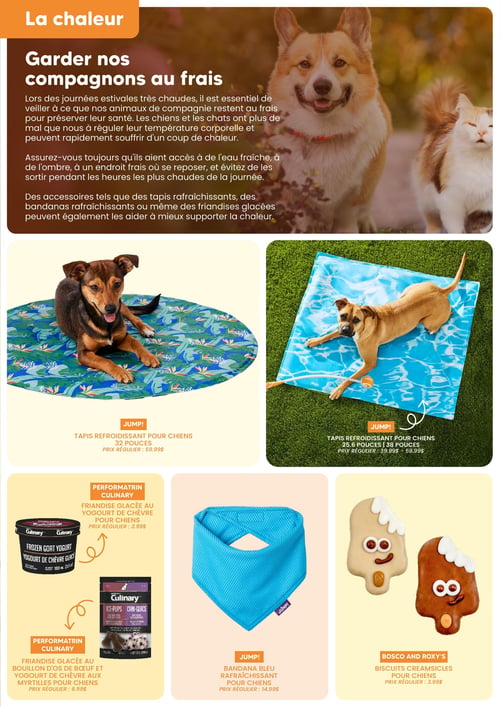 Circulaire Chico Boutique d'Animaux - Page 2. Cette page est dédiée aux produits pour garder les animaux au frais pendant la chaleur estivale. Un texte informatif explique l'importance de l'hydratation et de l'ombre pour les chiens et chats, et suggère des accessoires rafraîchissants et des friandises glacées. Deux tapis refroidissants pour chiens de la marque Jump! sont présentés : un modèle rond de 32 pouces avec un motif tropical, prix régulier 59,99 $, et un modèle rectangulaire de 25,6 ou 38 pouces avec un motif d'eau, prix régulier de 39,99 $ à 59,99 $. Deux friandises glacées Performarin Culinary sont offertes : un yogourt de chèvre pour chiens à 2,99 $ et une friandise au bouillon d'os de bœuf et yogourt de chèvre aux myrtilles pour chiens à 6,99 $. Un bandana bleu rafraîchissant Jump! est disponible à 14,99 $. Enfin, des biscuits Creamsicles Bosco and Roxy's pour chiens sont affichés à 3,99 $.