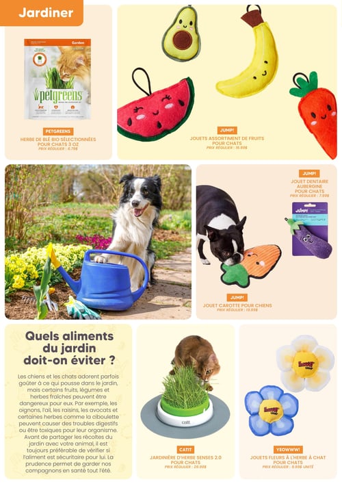 Circulaire Chico Boutique d'Animaux - Page 3. La page est dédiée au thème du jardinage pour animaux de compagnie. En haut à gauche, on trouve l'herbe de blé bio sélectionnées Petgreens pour chats, format 3 oz, au prix régulier de 6,79 $. À droite, un assortiment de jouets en forme de fruits Jump! pour chats, incluant un avocat, une banane et un melon d'eau, est affiché au prix régulier de 16,99 $. Une grande photo centrale montre un chien Border Collie assis à côté d'un arrosoir bleu dans un jardin fleuri. Sur la droite de cette photo, un jouet dentaire aubergine Jump! pour chats est présenté au prix régulier de 7,99 $, et un jouet carotte Jump! pour chiens, avec un Boston Terrier jouant avec, est affiché au prix régulier de 19,99 $. En bas à gauche, un encadré informatif intitulé "Quels aliments du jardin doit-on éviter ?" met en garde contre les oignons, l'ail, les raisins, les avocats et la ciboulette pour les animaux. Au centre du bas, une jardinière d'herbe Senses 2.0 Catit pour chats est montrée avec un chat qui en mange, au prix régulier de 29,99 $. Enfin, en bas à droite, des jouets fleurs à l'herbe à chat Yeowww!, une jaune et une bleue, sont offerts au prix régulier de 9,99 $ l'unité.