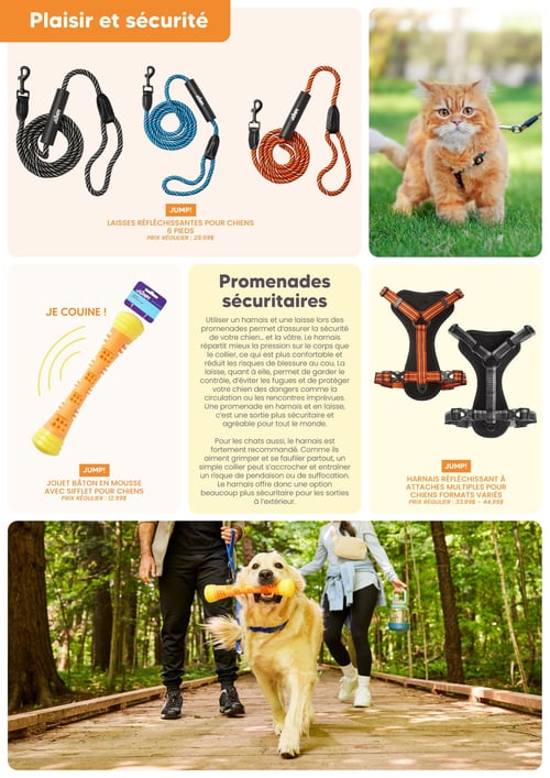 Circulaire Chico Boutique d'Animaux - Page 4. La page est intitulée "Plaisir et sécurité". En haut, trois laisses réfléchissantes JUMP! pour chiens de 6 pieds sont présentées en noir, bleu et orange, au prix régulier de 29,99 $. À droite, une photo montre un chat roux portant un harnais et une laisse dans l'herbe. Au centre, à gauche, un jouet bâton en mousse JUMP! jaune et orange avec sifflet pour chiens est affiché, au prix régulier de 12,99 $. Au centre, un texte informatif intitulé "Promenades sécuritaires" explique les avantages des harnais et laisses pour la sécurité des chiens et des chats lors des sorties. À droite, deux harnais réfléchissants JUMP! à attaches multiples pour chiens de formats variés sont montrés en orange et noir, avec des prix réguliers allant de 33,99 $ à 44,99 $. En bas de page, une grande photo de style de vie montre un chien golden retriever marchant sur une promenade en bois dans une forêt, tenant le jouet bâton en mousse dans sa gueule, accompagné de deux personnes.