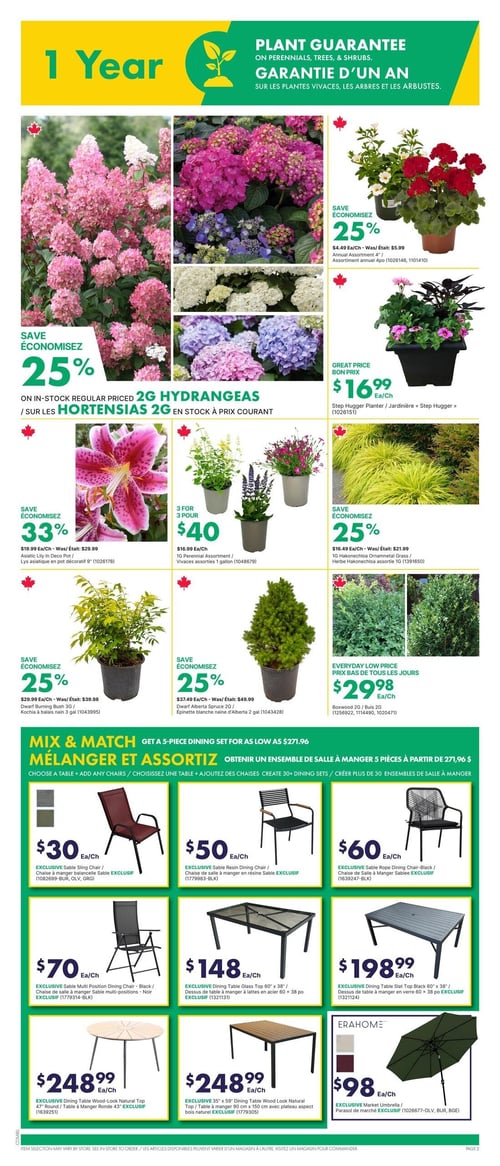 Circulaire Kent - Page 2. La page met en avant une garantie d'un an sur les plantes vivaces, les arbres et les arbustes. Économisez 25 % sur les hortensias 2G en stock à prix courant. L'assortiment annuel 4 po est à 4,49 $ chacun (était 5,99 $), et la jardinière « Step Hugger » est à 16,99 $ chacun. Le lys asiatique en pot décoratif 9 po est à 19,99 $ chacun (était 29,99 $), soit 33 % de rabais. L'assortiment de vivaces 1 gallon est offert à 3 pour 40 $ (16,99 $ chacun). Économisez 25 % sur l'herbe Hakonechloa ornementale 1 gallon à 16,49 $ chacun (était 21,99 $). Le Kochia à balais nain 3 gallons est à 29,99 $ chacun (était 39,98 $), et l'épinette blanche naine d'Alberta 2 gallons est à 37,49 $ chacun (était 49,99 $), les deux avec 25 % de rabais. Le buis 2 gallons est à prix bas tous les jours à 29,98 $ chacun. La section « Mélanger et assortir » propose des ensembles de salle à manger 5 pièces à partir de 271,96 $. Des chaises à manger balancelles Sable EXCLUSIF sont à 30 $ chacune, des chaises de salle à manger en résine Sable EXCLUSIF à 50 $ chacune, des chaises de salle à manger multi-positions Sable EXCLUSIF à 70 $ chacune, et des chaises de salle à manger Sable Rope EXCLUSIF à 60 $ chacune. Plusieurs tables sont disponibles : un dessus de table à manger en lattes d'acier 60 po x 38 po EXCLUSIF à 148 $ chacun, une table à manger ronde 43 po aspect bois naturel EXCLUSIF à 248,99 $ chacun, une table à manger 90 cm x 150 cm avec plateau aspect bois naturel EXCLUSIF à 248,99 $ chacun, et un dessus de table à manger en verre 60 po x 38 po EXCLUSIF à 198,99 $ chacun. Enfin, un parasol de marché ERAHOME EXCLUSIF est offert à 98 $ chacun.