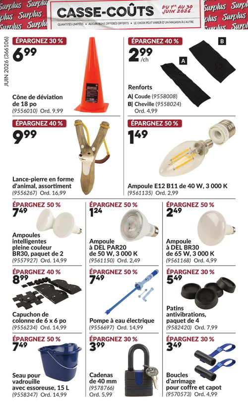Circulaire Princess Auto - Page 14. La page "Casse-Coûts" présente des offres valides du 1er au 30 juin 2026. On y trouve un cône de déviation de 18 pouces à 6,99 $ (30 % de rabais), une lance-pierre en forme d'animal assortie à 9,99 $ (40 % de rabais), et un seau pour vadrouille de 15 litres avec essoreuse à 7,49 $ (50 % de rabais). Des ampoules sont également en promotion : une ampoule E12 B11 de 40 W à 1,49 $ (50 % de rabais), une ampoule à DEL PAR20 de 50 W à 1,24 $ (50 % de rabais), une ampoule à DEL BR30 de 65 W à 2,49 $ (50 % de rabais), et un paquet de deux ampoules intelligentes pleine couleur BR30 à 7,49 $ (50 % de rabais). D'autres articles incluent des renforts de coude ou de cheville à 2,99 $ chacun (40 % de rabais), un capuchon de colonne de 6 x 6 pouces à 8,99 $ (40 % de rabais), une pompe à eau électrique à 7,49 $ (50 % de rabais), un cadenas de 40 mm à 3,99 $ (30 % de rabais), un paquet de quatre patins antivibrations à 5,49 $ (30 % de rabais), et des boucles d'arrimage pour coffre et capot à 3,49 $ (30 % de rabais).