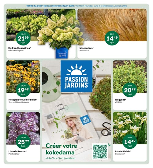 Passion Jardins - Page 1. Valide du jeudi 4 juin au mercredi 10 juin 2026. La page présente des offres sur diverses plantes. En haut à gauche, les Hydrangées naines de 2 gallons sont à 21,99 $ (anciennement 32,99 $). En haut à droite, le Miscanthus de 2 gallons est à 14,49 $ (anciennement 21,99 $). Au centre gauche, l'Heliopsis 'Touch of Blush' de 1 gallon est à 19,49 $ (anciennement 29,99 $). Au centre droit, les Weigelas de 2 gallons sont à 20,99 $ (anciennement 31,99 $). En bas à gauche, les Lilas de Preston de 3 gallons sont à 25,99 $ (anciennement 39,99 $). En bas à droite, l'Iris de Sibérie de 2 gallons est à 14,49 $ (anciennement 21,99 $). Au centre de la page, une section "Créer votre kokedama" est illustrée avec une femme tenant un kokedama et un code QR.