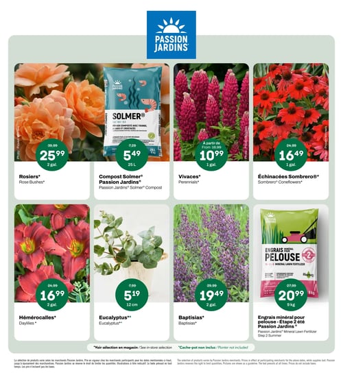 Circulaire Passion Jardins - Page 2. La page présente huit offres de produits de jardinage. En haut à gauche, des rosiers de 2 gallons sont offerts à 25,99 $, prix réduit de 39,99 $. À côté, le compost Solmer Passion Jardins, un fumier composté avec tourbe, algues et crustacés de 25 litres (8 kg), est à 5,49 $, au lieu de 7,29 $. Ensuite, des vivaces de 1 gallon sont disponibles à partir de 10,99 $. À droite, des échinacées Sombrero de 1 gallon sont à 16,49 $, prix réduit de 24,99 $. En bas à gauche, des hémérocalles de 2 gallons sont à 16,99 $, au lieu de 24,99 $. À côté, des eucalyptus de 12 cm sont à 5,19 $, prix réduit de 7,99 $. Ensuite, des baptisias de 2 gallons sont à 19,49 $, au lieu de 29,99 $. Enfin, l'engrais minéral pour pelouse Étape 2 été Passion Jardins (18-0-6) de 9 kg est à 20,99 $, prix réduit de 27,99 $. Une sélection de produits est disponible en magasin et les cache-pots ne sont pas inclus.