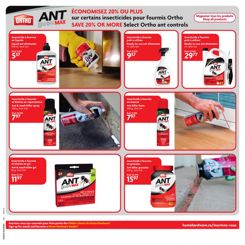 Circulaire Home Hardware - Page 19. La page met en vedette une promotion "Économisez 20 % ou plus" sur une sélection d'insecticides pour fourmis Ortho Ant Bgon Max. On y trouve : un insecticide liquide de 100 ml à 5,57 $ (ancien prix 7,99 $); un insecticide prêt à utiliser de 1 litre à 9,57 $ (ancien prix 11,99 $); un insecticide prêt à utiliser de 4 litres à 29,77 $ (ancien prix 37,99 $); un insecticide en vaporisateur pour fourmis et blattes de 400 g à 7,97 $ (ancien prix 10,99 $); un insecticide en mousse pour fourmis de 400 g à 7,97 $ (ancien prix 9,99 $); un insecticide en gel pour fourmis et blattes de 85 g à 11,97 $ (ancien prix 16,79 $); et un insecticide en granules pour fourmis de 450 g à 15,97 $ (ancien prix 22,49 $). En bas de page, une invitation à s'inscrire aux courriels pour faire partie des Fidèles clients de Home Hardware.