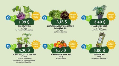 Circulaire Coop Alentour - Plus d'économies - Page 1