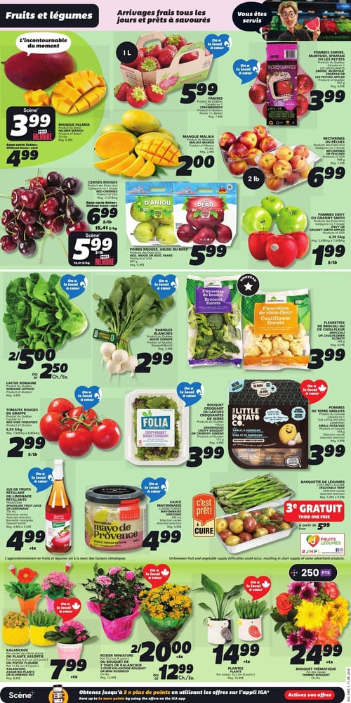 Circulaire IGA - Page 3. La page met en vedette des fruits, légumes et plantes. En haut, la mangue Palmer est à 3,99 $ avec la carte Scène+ ou 4,99 $ sans carte. Les fraises du Québec, 1 litre, sont à 5,99 $. Les pommes Empire, McIntosh, Spartan ou Les Petites, 907 g, sont à 3,99 $. La mangue Malika est à 2,00 $. Les nectarines ou pêches, 908 g, sont à 6,99 $. Les cerises rouges sont à 6,99 $ la livre, ou 5,99 $ la livre avec la carte Scène+. Les poires rouges, Anjou ou Bosc, 907 g, sont à 5,99 $. Les pommes Envy ou Granny Smith sont à 1,99 $ la livre.

Dans la section des légumes, la laitue romaine du Québec est offerte à 2 pour 5,00 $ ou 2,50 $ l'unité. Les rabioles blanches du Québec, en bouquet, sont à 2,99 $. Les fleurettes de brocoli ou de chou-fleur, 340 g, sont à 3,99 $. Les tomates rouges en grappe du Québec sont à 2,99 $ la livre. Le bouquet croquant ou les laitues croquantes de serre Folia, 113 g, sont à 3,99 $. Les pommes de terre Grelots, 454 g, sont à 3,99 $.

En bas de page, le jus de fruits pétillant ou la limonade pétillante Tradition, 750 ml, est à 4,99 $. La sauce mayonnaise Cuisine Poirier, 340 ml, est à 4,99 $. La barquette de légumes "C'est prêt! À cuire" est offerte avec le 3e gratuit à partir de 5,99 $. Une variété de plantes est également présentée : le kalanchoe ou plante assortie en pot de 11,43 cm à 7,99 $; le rosier miniature ou bouquet de 3 tiges de kalanchoe ou mini rosier à 2 pour 20,00 $ ou 12,99 $ l'unité; des plantes en pot de 10,2 cm à 14,99 $; et un bouquet thématique à 24,99 $. La page mentionne aussi la possibilité d'obtenir jusqu'à 5 fois plus de points en utilisant les offres de l'application IGA.